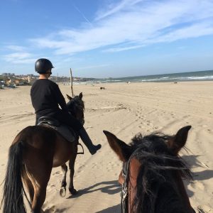 le-grand-bleu (14)
