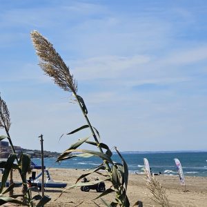 le-grand-bleu (31)