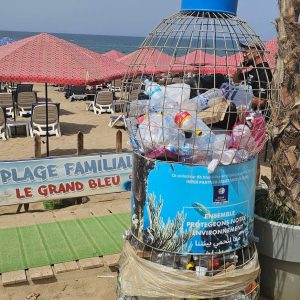 le-grand-bleu (59)