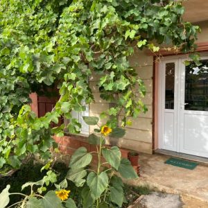 le-petit-refuge (10)