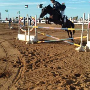 lw-grand-bleu-club-equestre (6)