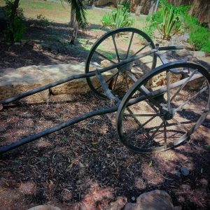 maher-guide-touristique-tipaza (19)