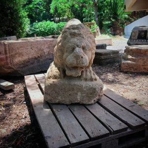 maher-guide-touristique-tipaza (20)