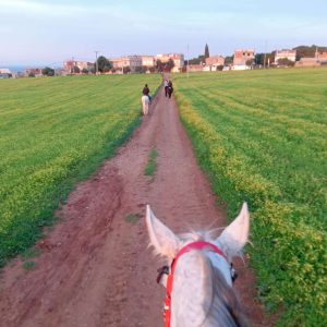 maher-guide-touristique-tipaza (31)