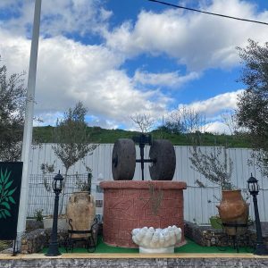 maison-belasla-tadmait-olive (1)