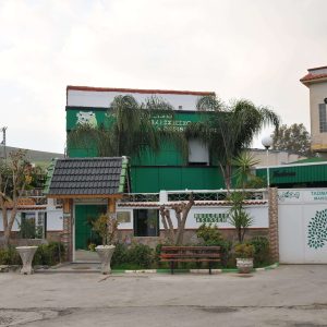maison-belasla-tadmait-olives (1)