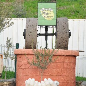 maison-belasla-tadmait-olives (6)