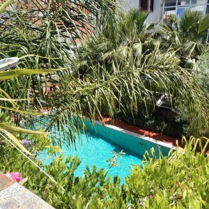 maison-rka-le-piscine-et-jardin (4)
