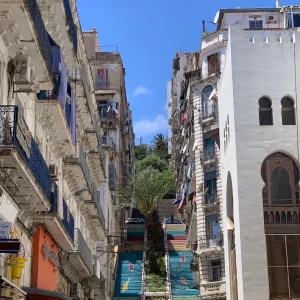 mama-musee-art-moderne-contemporain-alger (2)