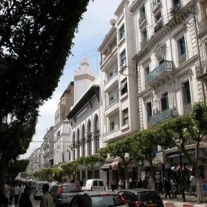 mama-musee-art-moderne-contemporain-alger (3) (1)