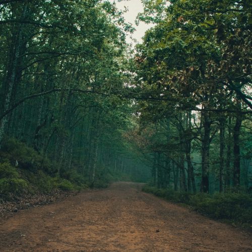 mounir-abdi-iRbRB2vqi0w-unsplash