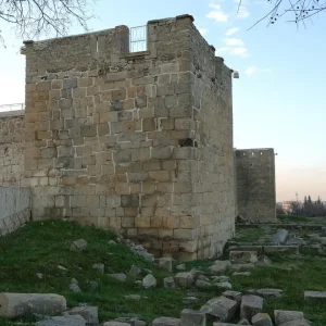 musee-archeologie-setif (9)
