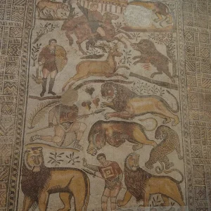 musee-de-site-de-djemila (1)