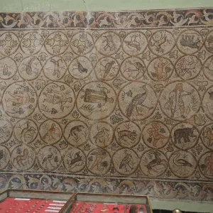 musee-de-site-de-djemila (14)