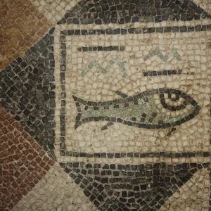 musee-de-site-de-djemila (5)