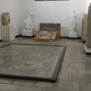 musee-des-antiquites