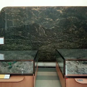 musee-du-moudjahid-oran (2)
