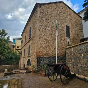 musee-emir-abdelkader-miliana (5)
