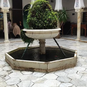 musee-enluminure-miniature-calligraphie-alger (12)
