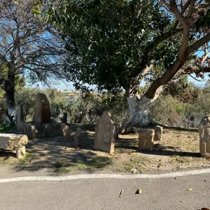 musee-hippone-annaba (2)