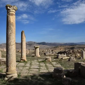 musee-khemissa-thubursicum (10)