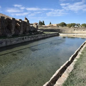 musee-khemissa-thubursicum (7)