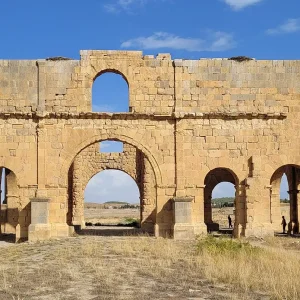 musee-lambese-tazoult (5)
