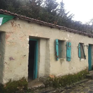 musee-moudjahid-ifri-ouzellaguen-2