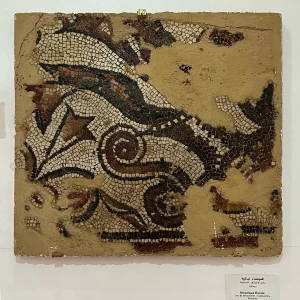 musee-public-national-cirta (10)