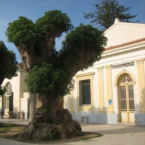 musee-public-national-de-cherchell (22)