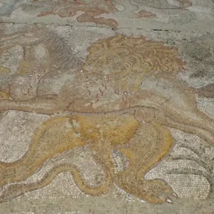 musee-public-national-de-cherchell (8)