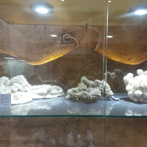 musee-public-national-el-meniaa (1)