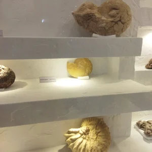 musee-public-national-el-meniaa (5)