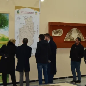 musee-public-national-tebessa (4)