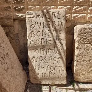 musee-site-minerve-tebessa (6)