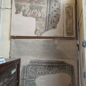 musee-site-minerve-tebessa (8)