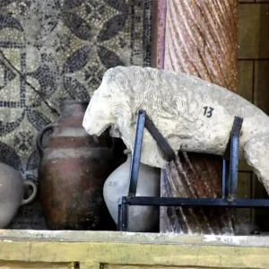 musee-site-theveste-tebessa (12)