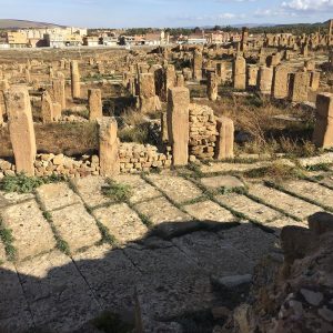 musee-site-timgad-batna (3)