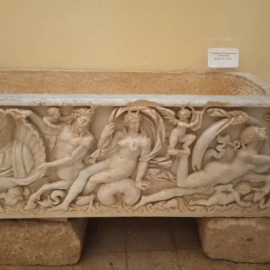musee-site-tipasa (6)