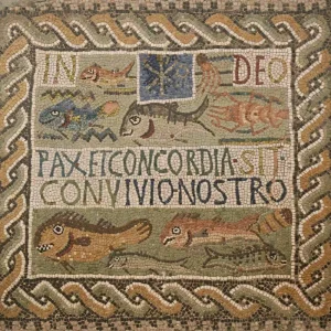 musee-site-tipasa (8)
