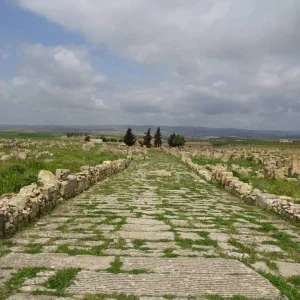 musee-souk-ahras (4)