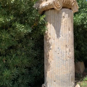 nouveau-musee-cherchell-tipaza (2)