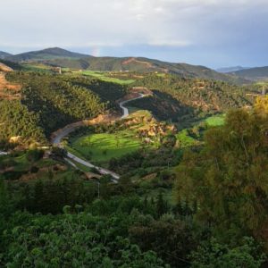 salah-touibia-photographe-algerie- (5)