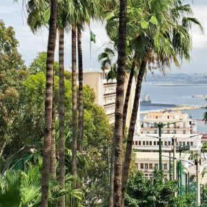 salah-touibia-photographe-algerie- (72)