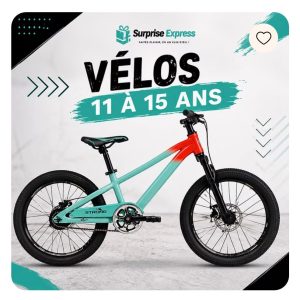 surprise-expresse-v2 (11)