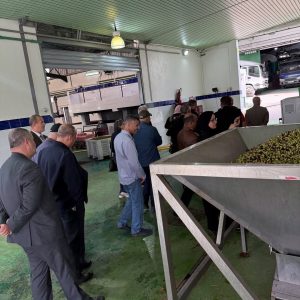 tadmait-olives (14)