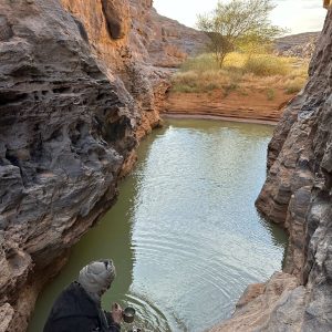 tamiramar-tassili-ahaggar (1)