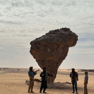 tamiramar-tassili-ahaggar (2)