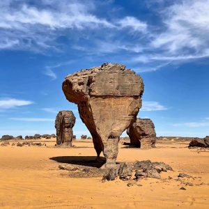 tamiramar-tassili-ahaggar (2)
