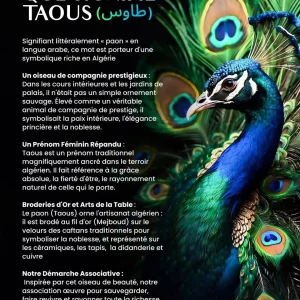 taous-association-culturelle-algerienne-evreux (8)